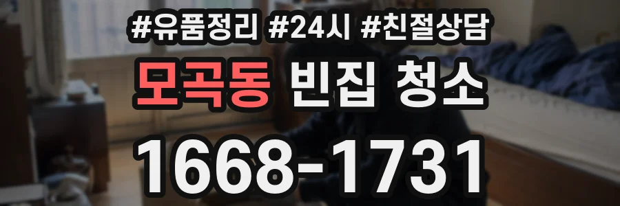 모곡동 빈집 청소