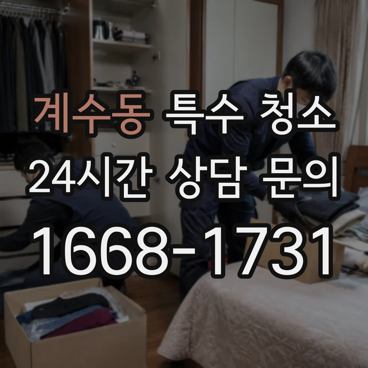 계수동 특수 청소