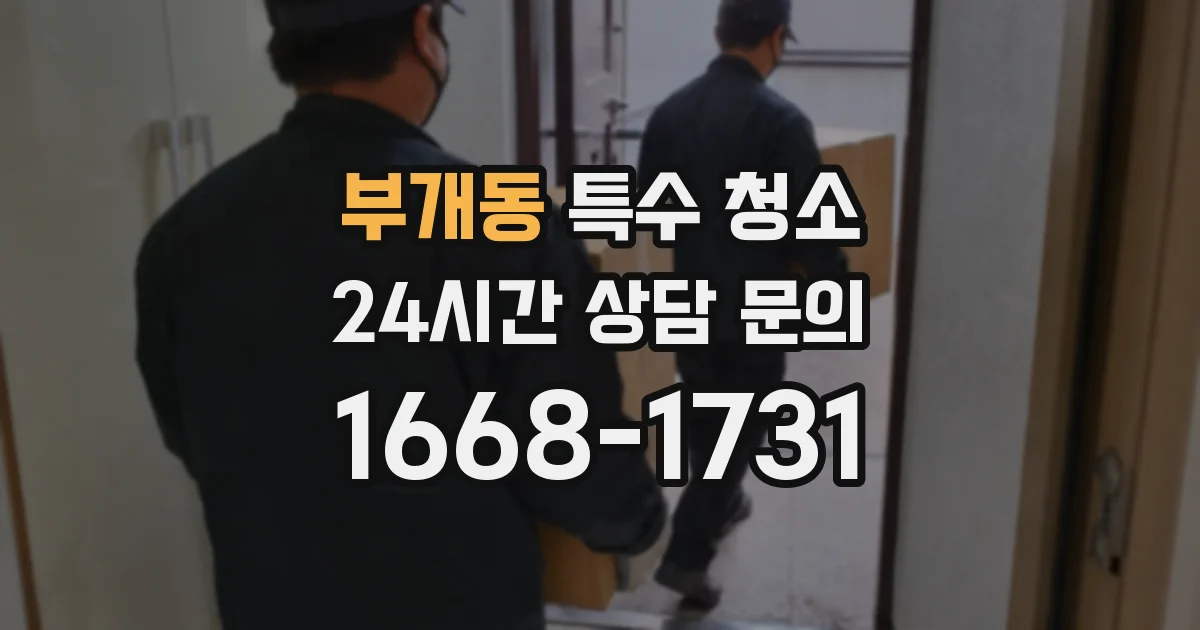 부개동 특수 청소