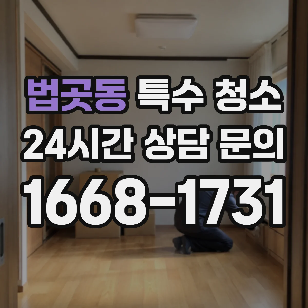 법곳동 특수 청소