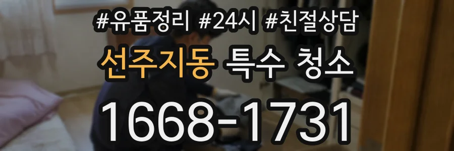 선주지동 특수 청소