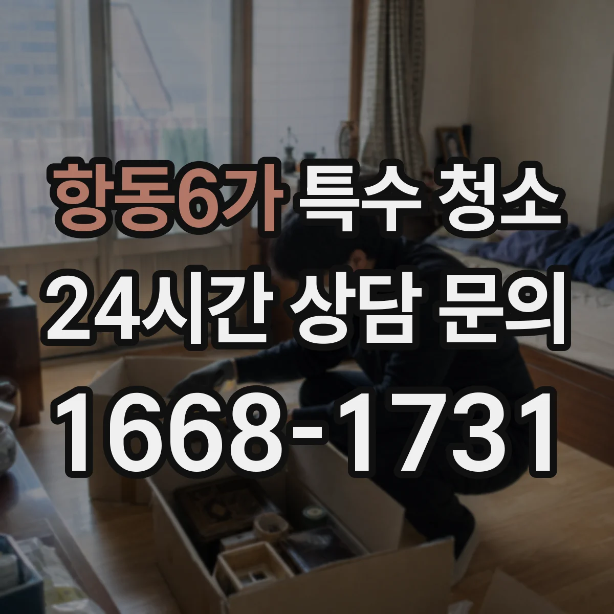 항동6가 특수 청소