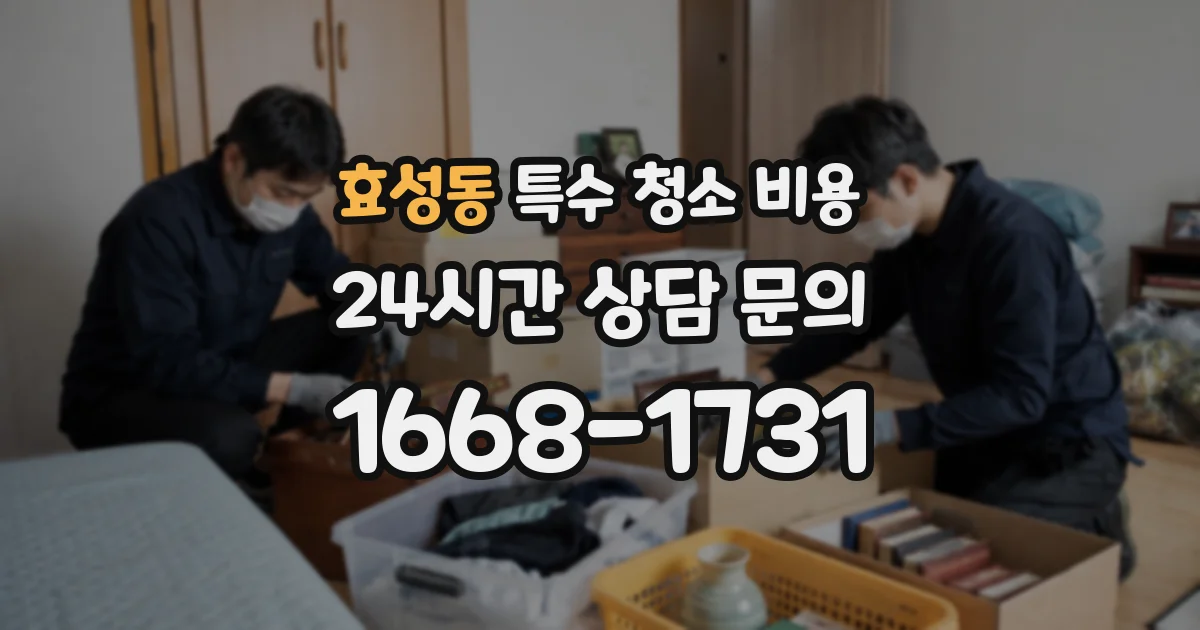 효성동 특수 청소 비용
