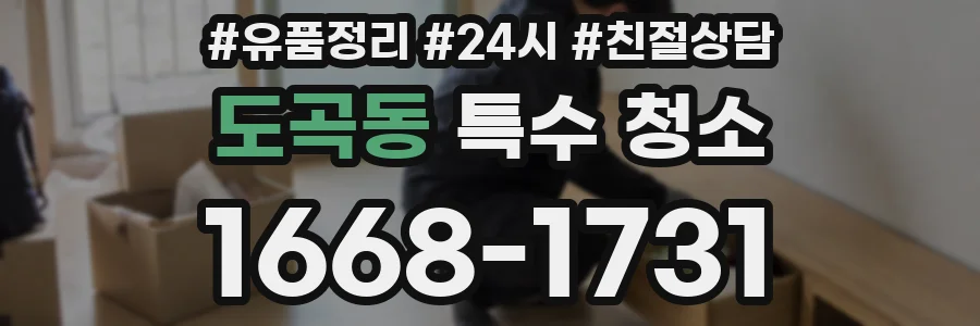 도곡동 특수 청소