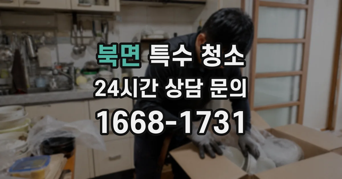 북면 특수 청소