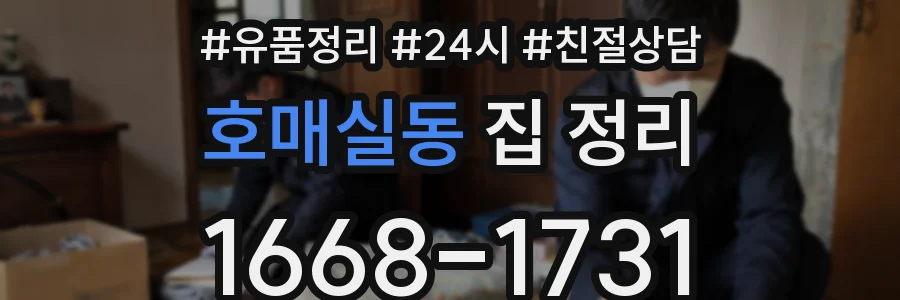 호매실동 집 정리