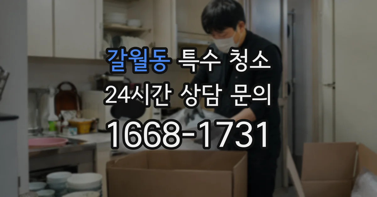 갈월동 특수 청소