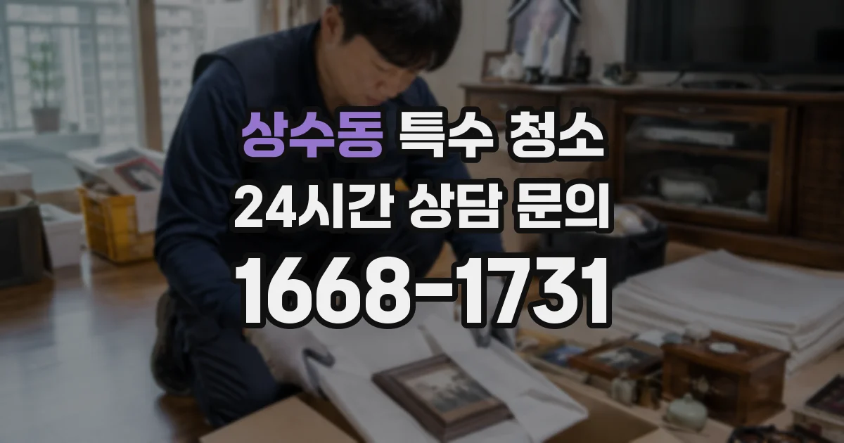 상수동 특수 청소