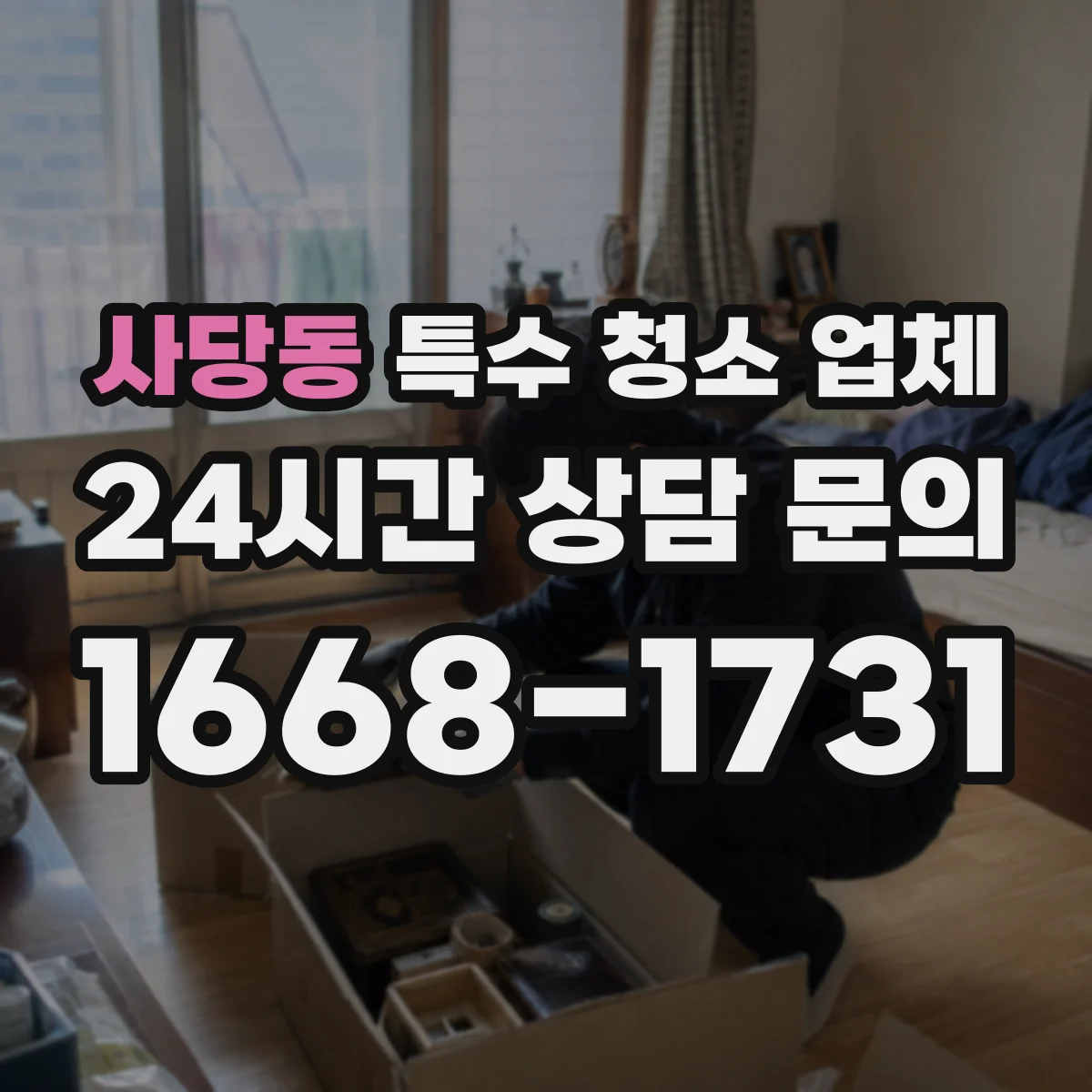 사당동 특수 청소 업체