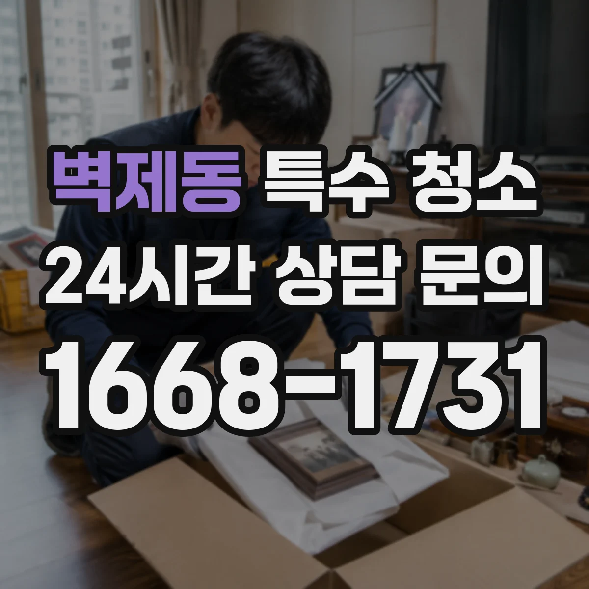 벽제동 특수 청소