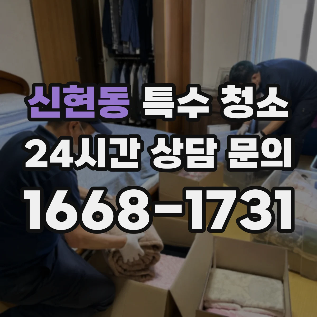 신현동 특수 청소