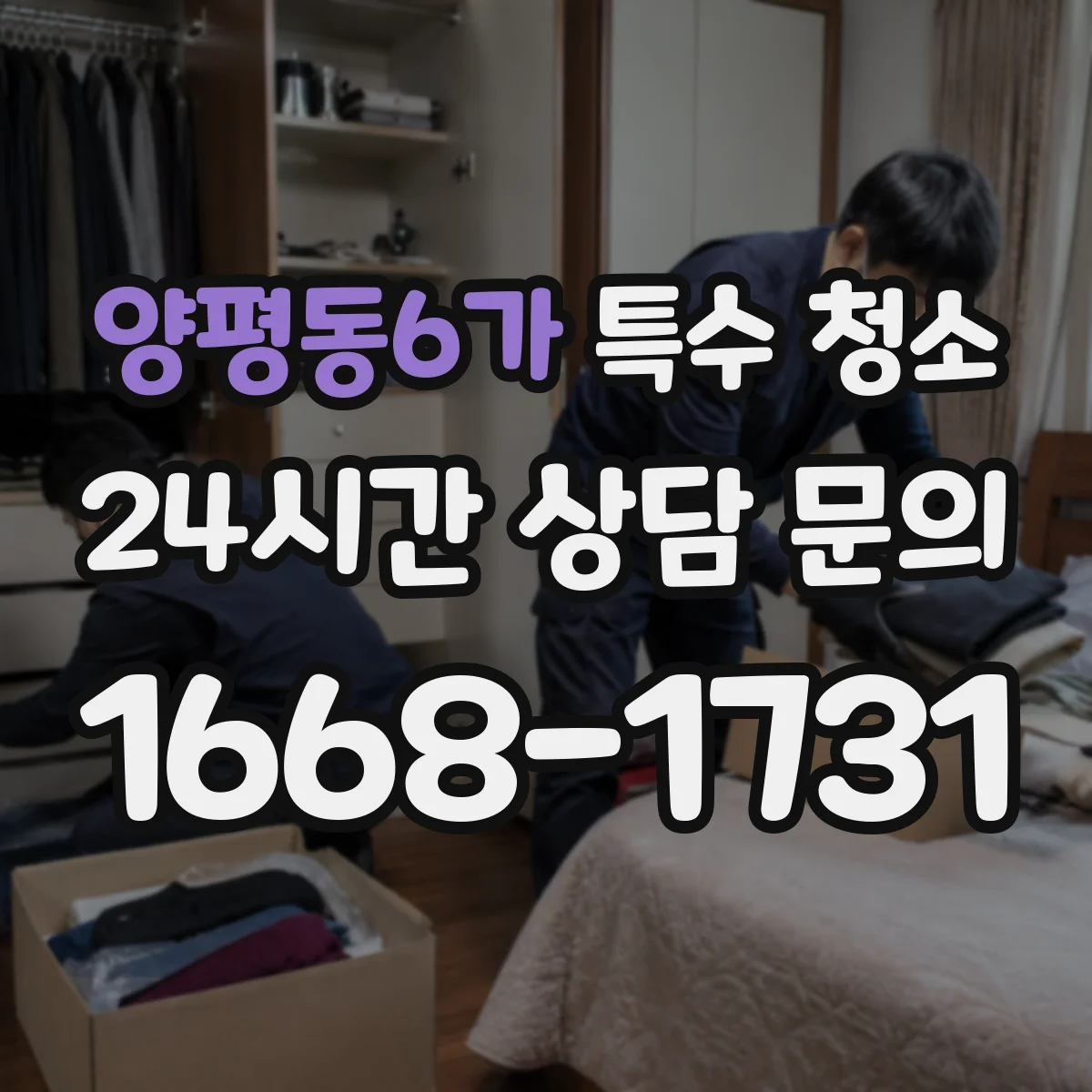 양평동6가 특수 청소