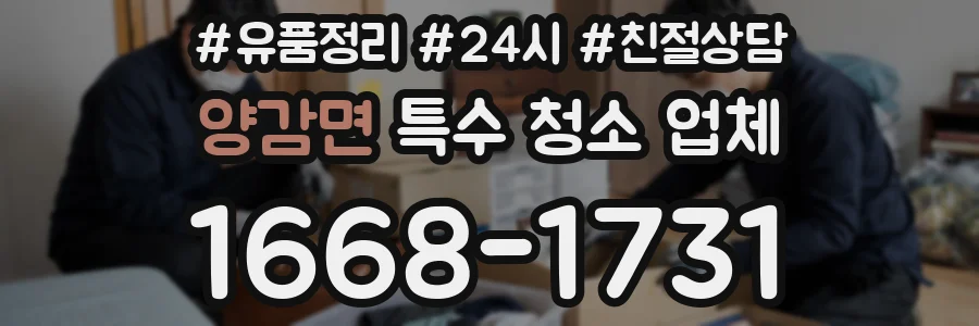 양감면 특수 청소 업체