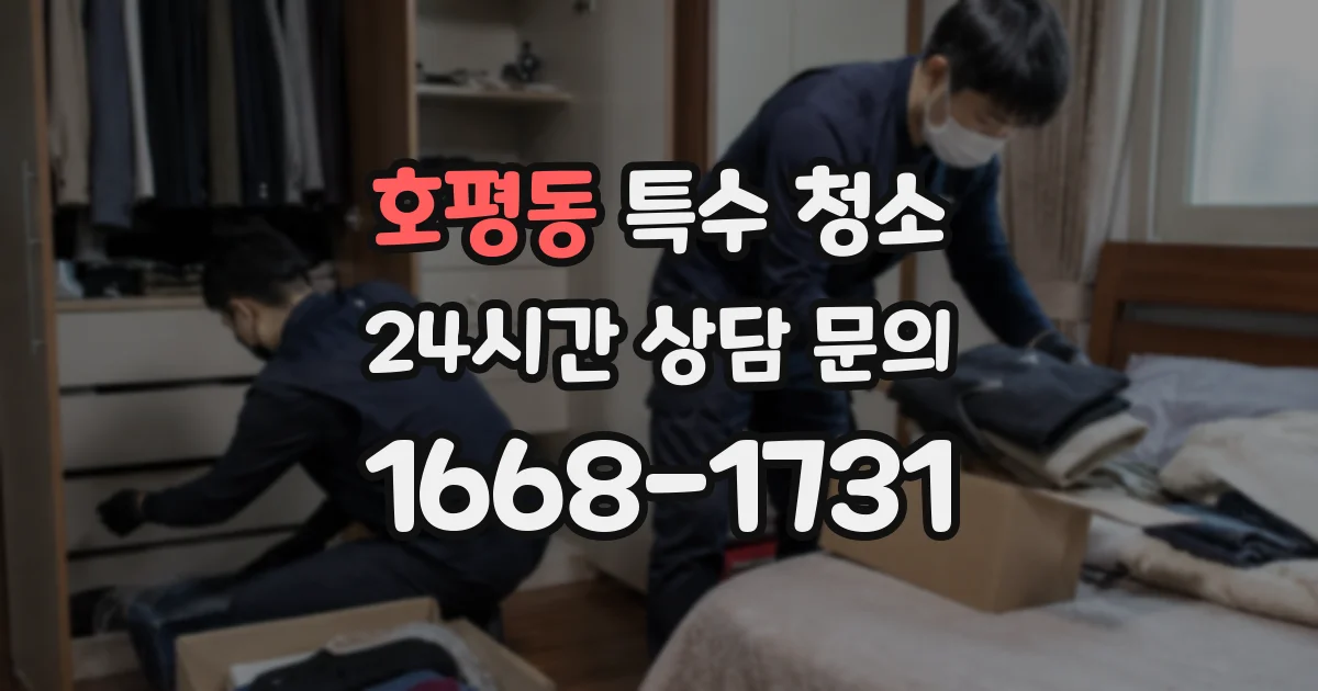 호평동 특수 청소