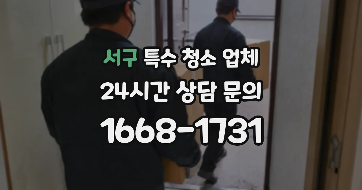 서구 특수 청소 업체