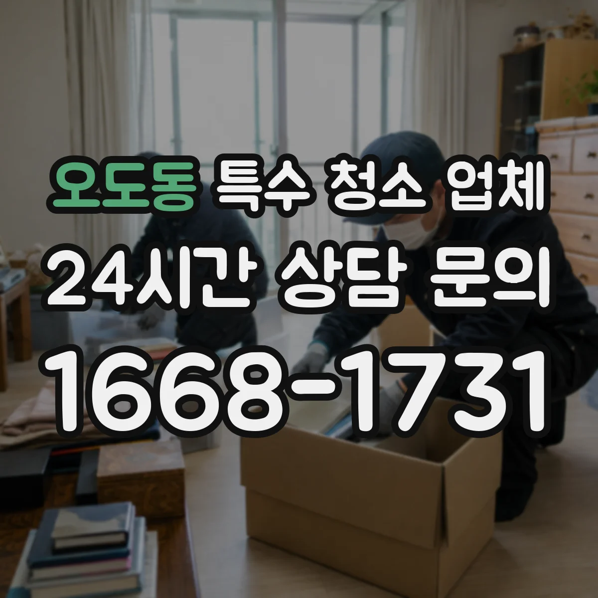 오도동 특수 청소 업체