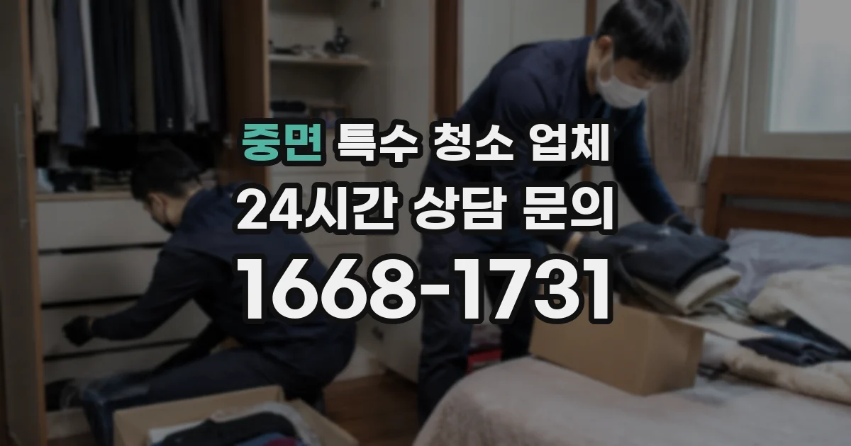 중면 특수 청소 업체