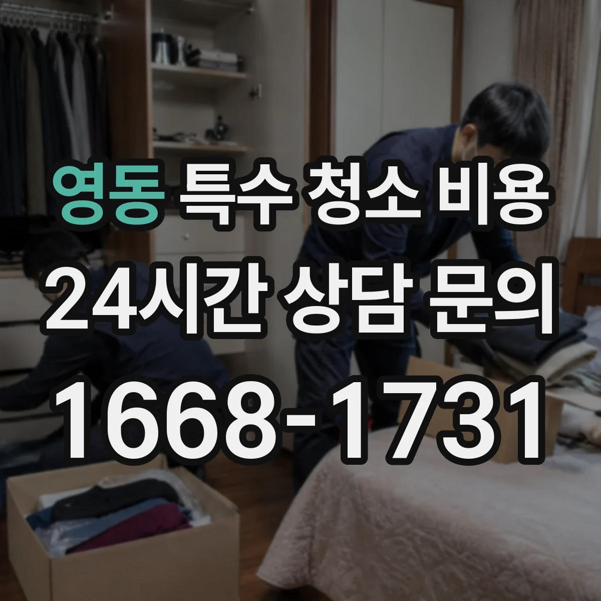 영동 특수 청소 비용
