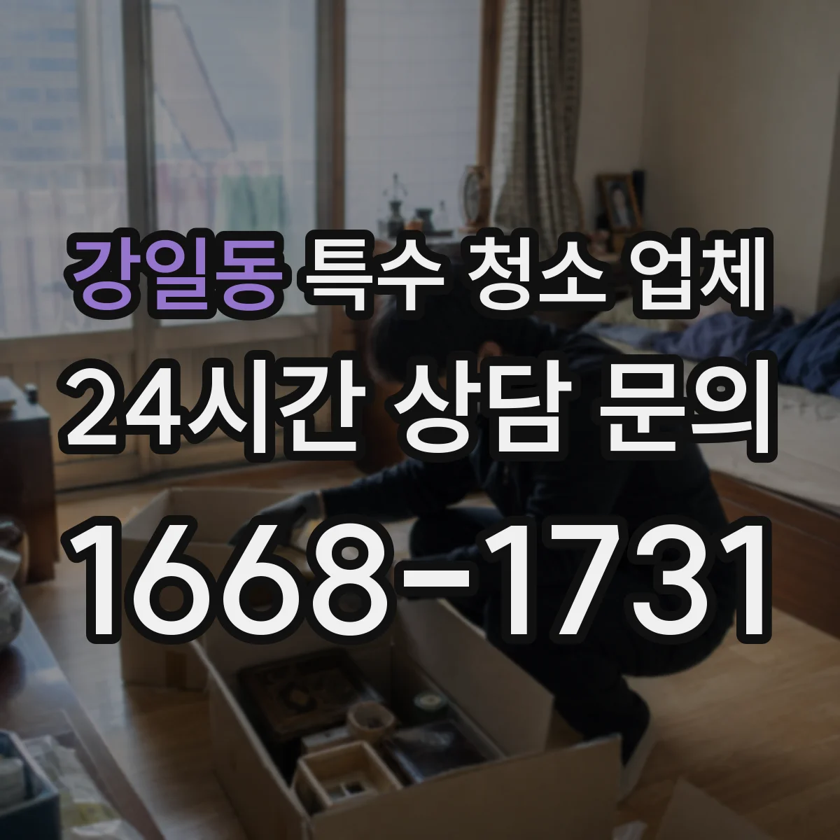 강일동 특수 청소 업체