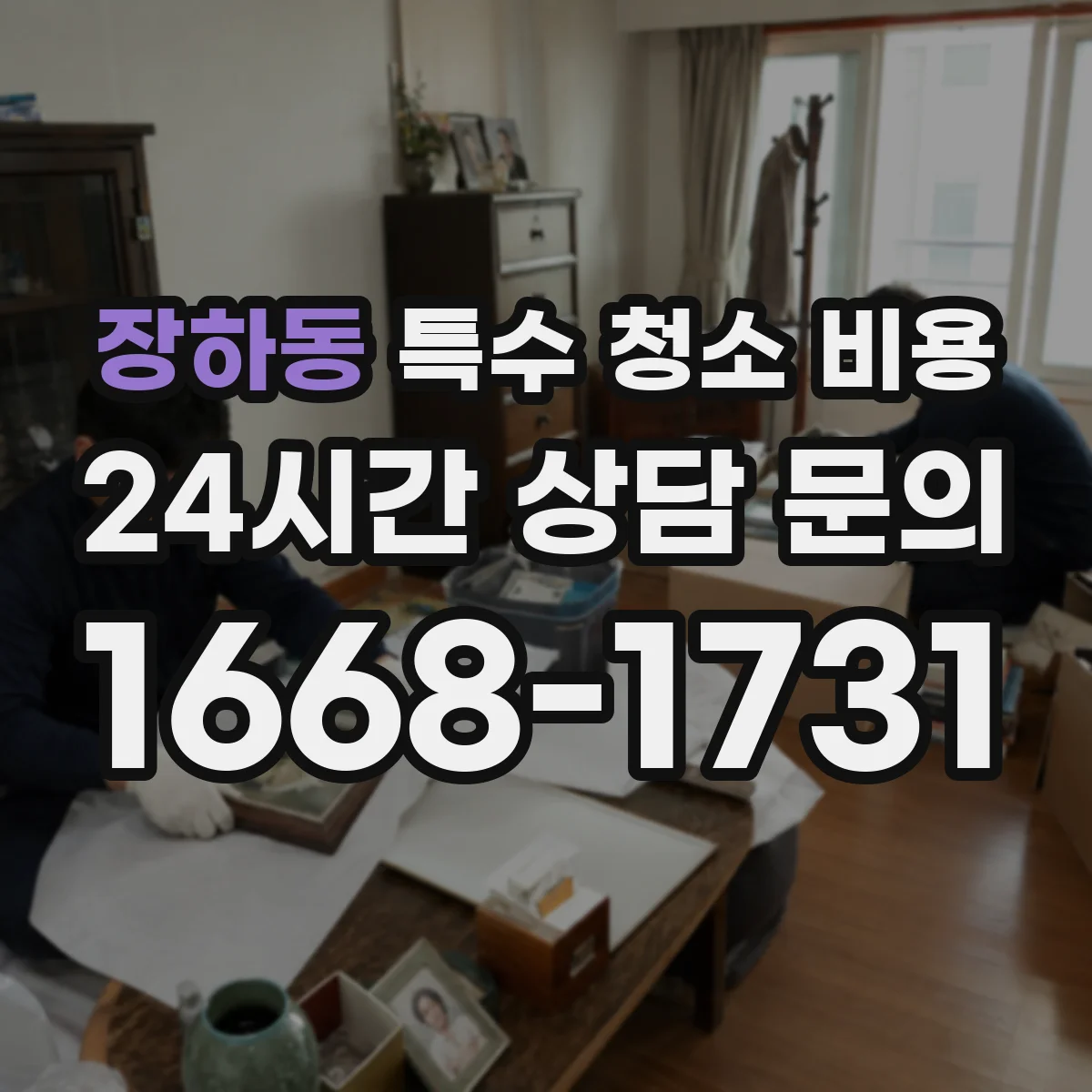 장하동 특수 청소 비용