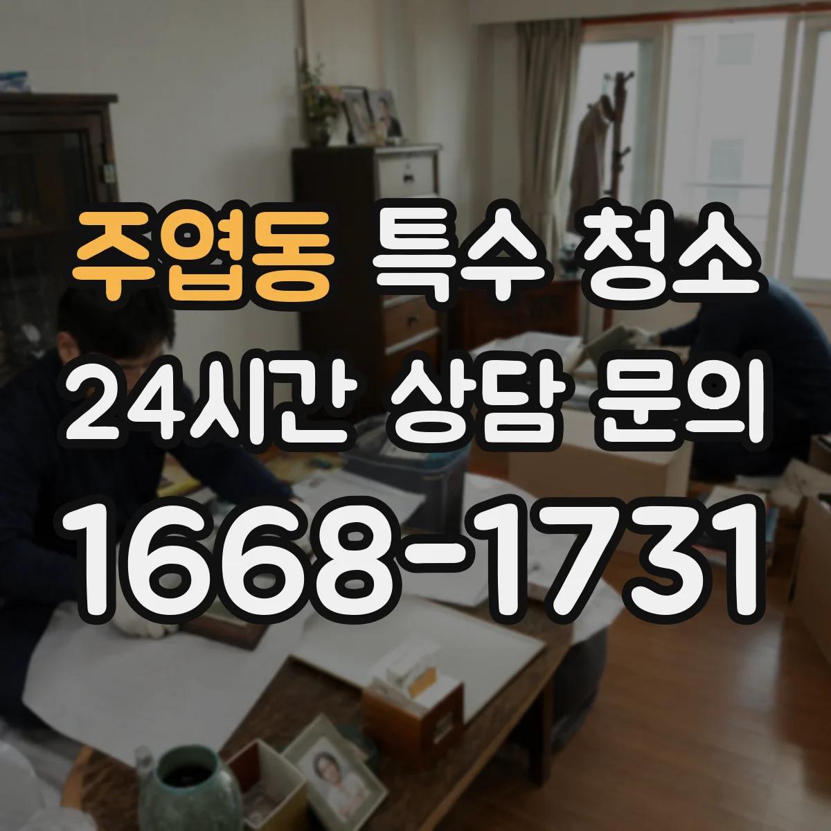 주엽동 특수 청소