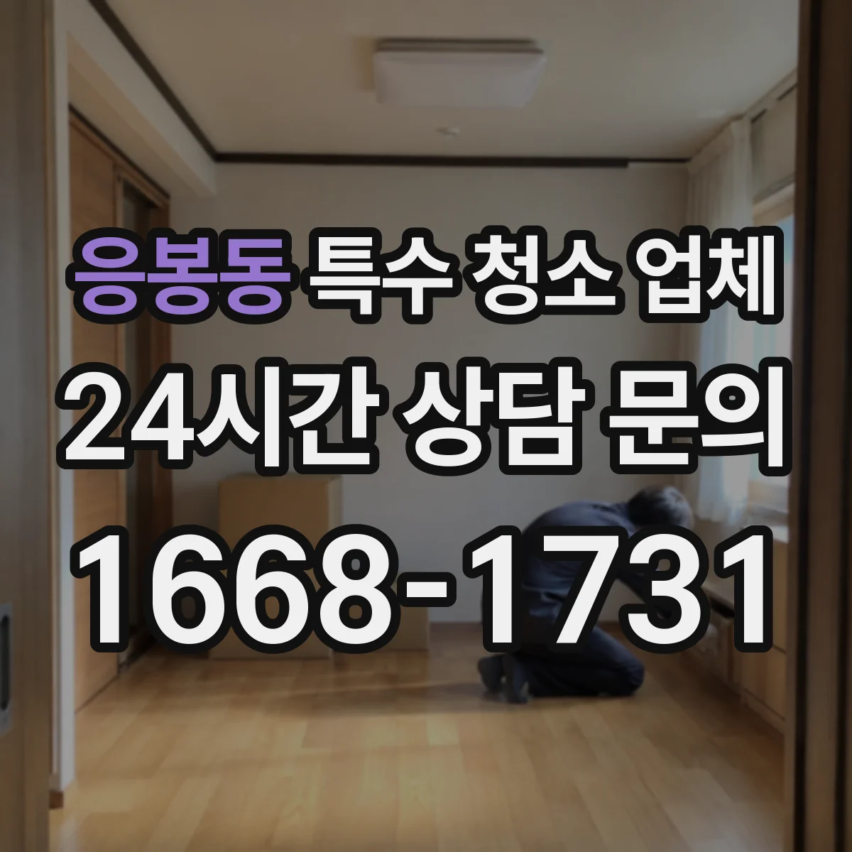 응봉동 특수 청소 업체