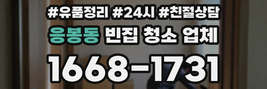 응봉동 빈집 청소 업체
