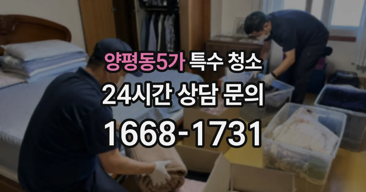 양평동5가 특수 청소