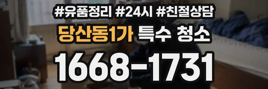 당산동1가 특수 청소