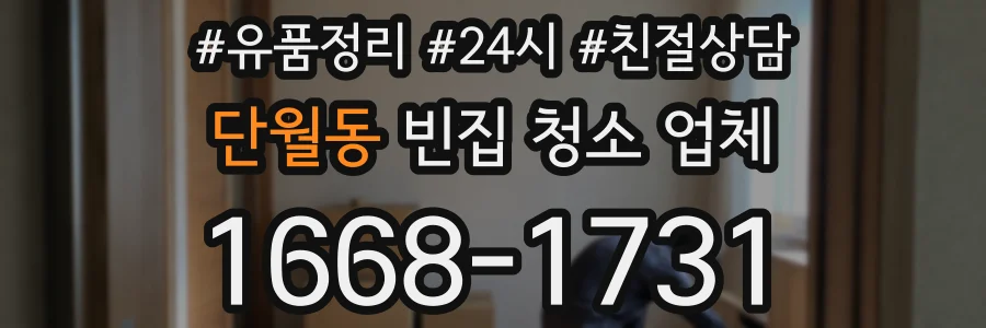 단월동 빈집 청소 업체