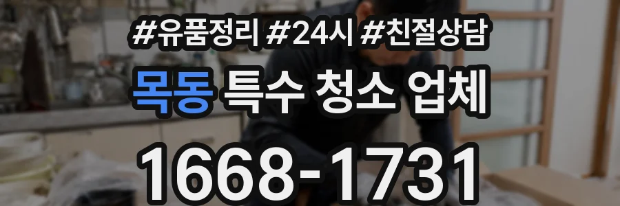 목동 특수 청소 업체