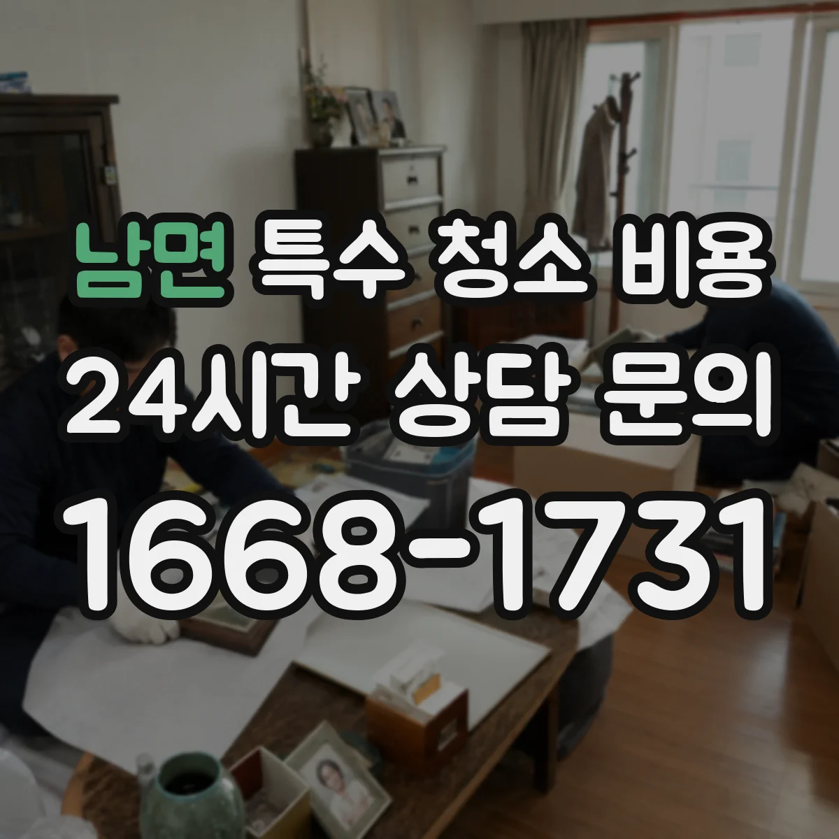 남면 특수 청소 비용