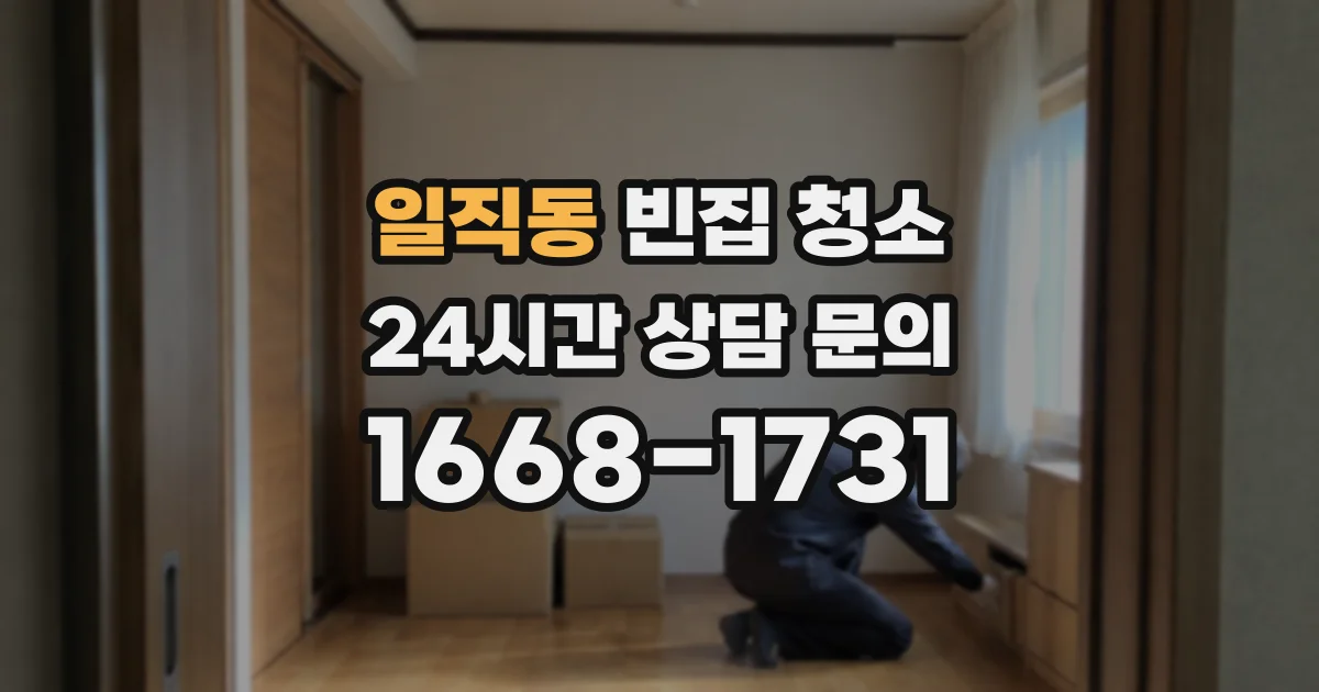 일직동 빈집 청소