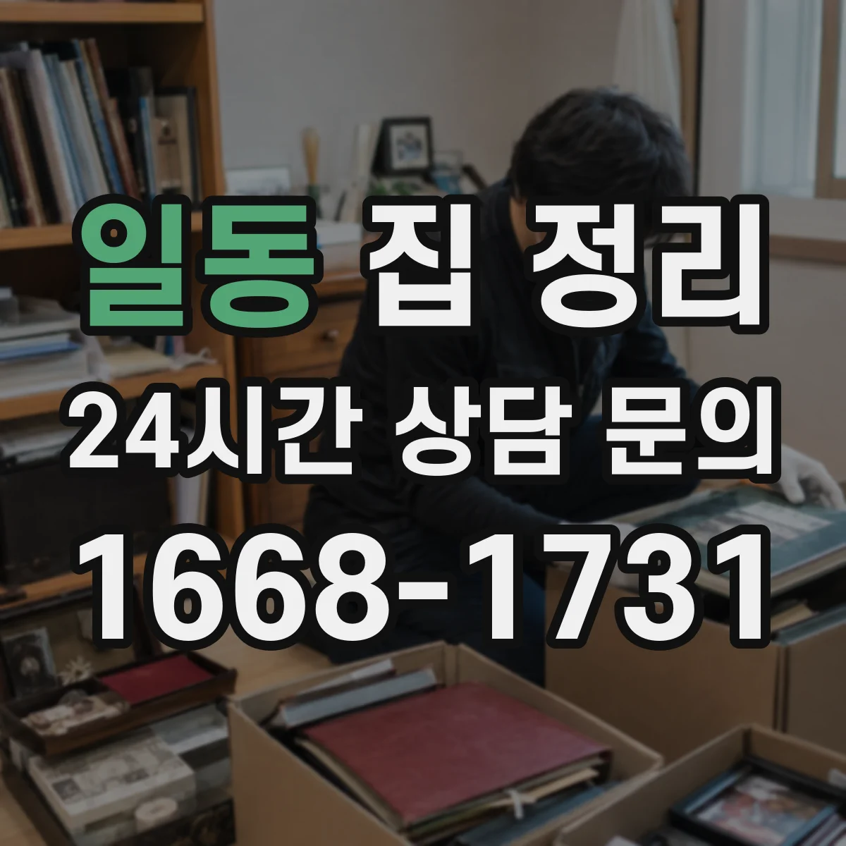 일동 집 정리