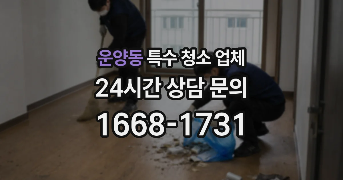 운양동 특수 청소 업체