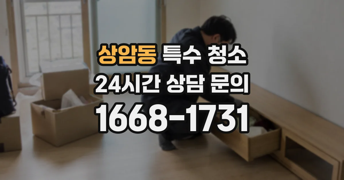 상암동 특수 청소