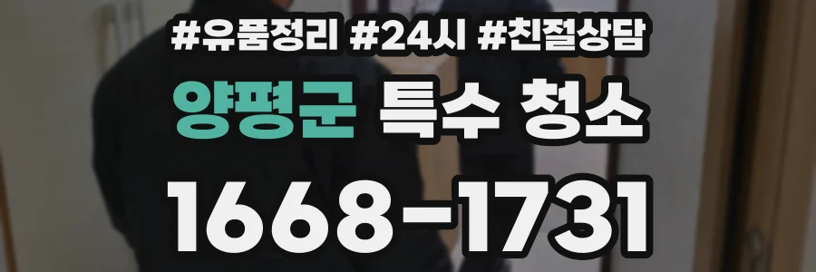 양평군 특수 청소
