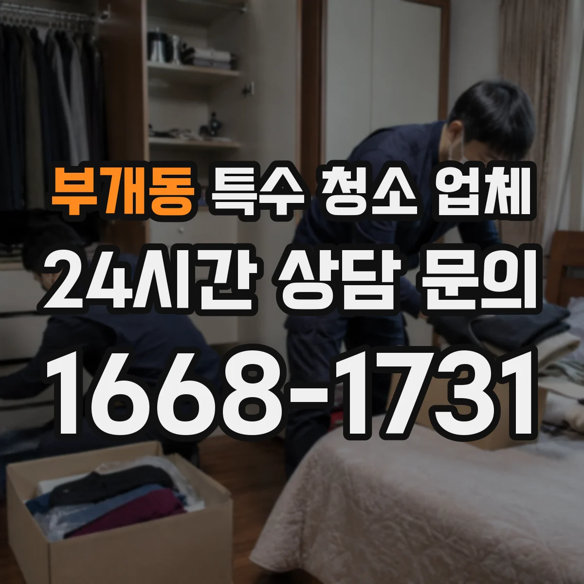 부개동 특수 청소 업체