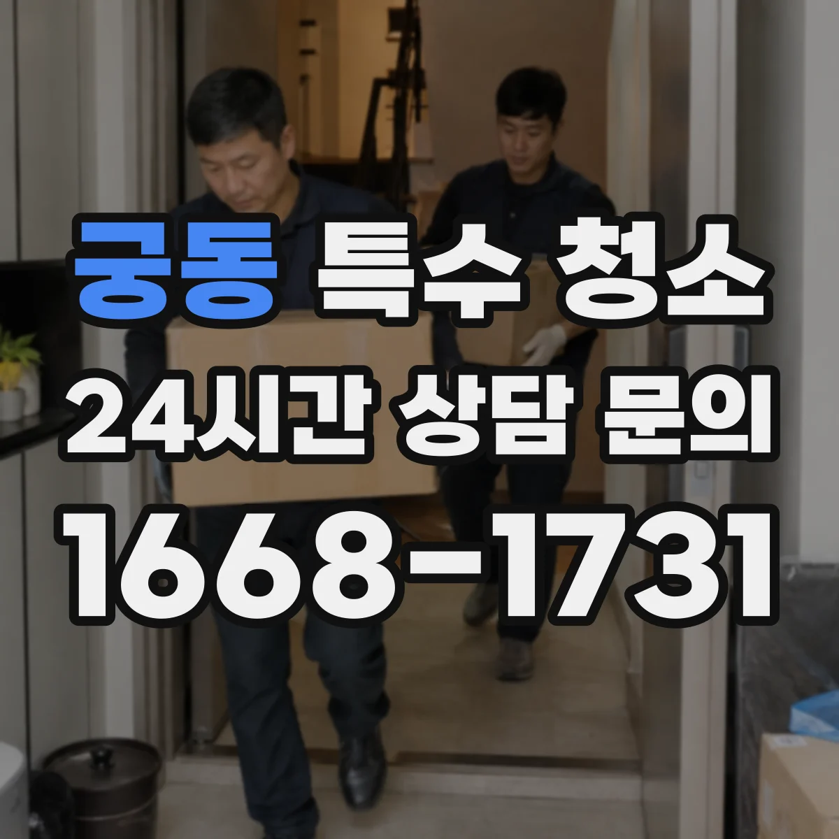 궁동 특수 청소