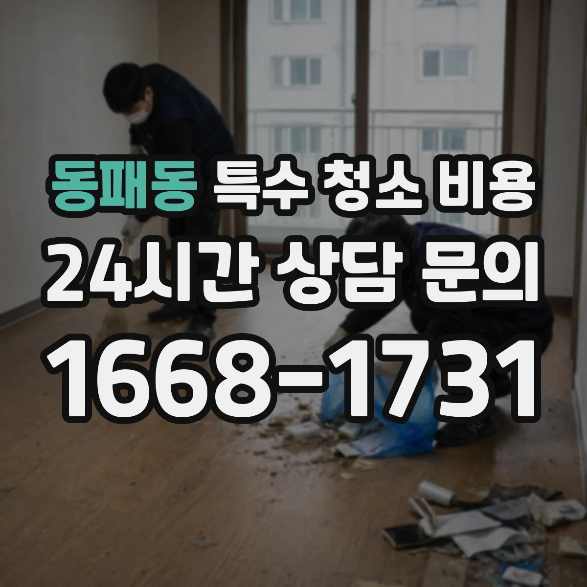 동패동 특수 청소 비용