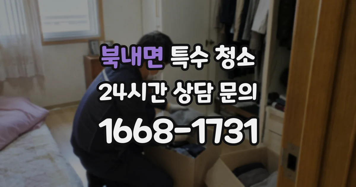 북내면 특수 청소