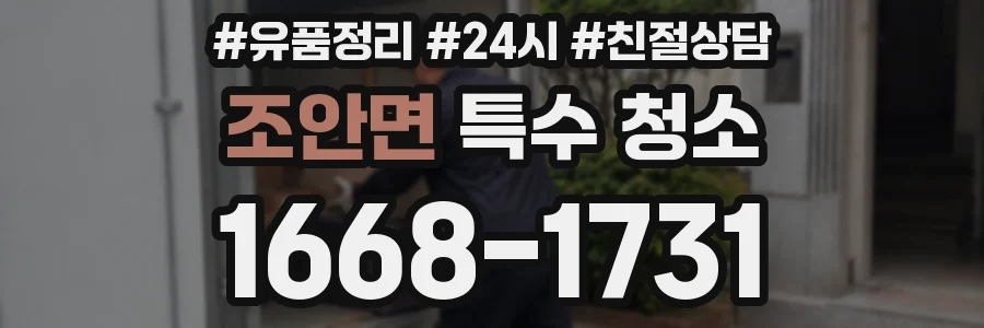 조안면 특수 청소