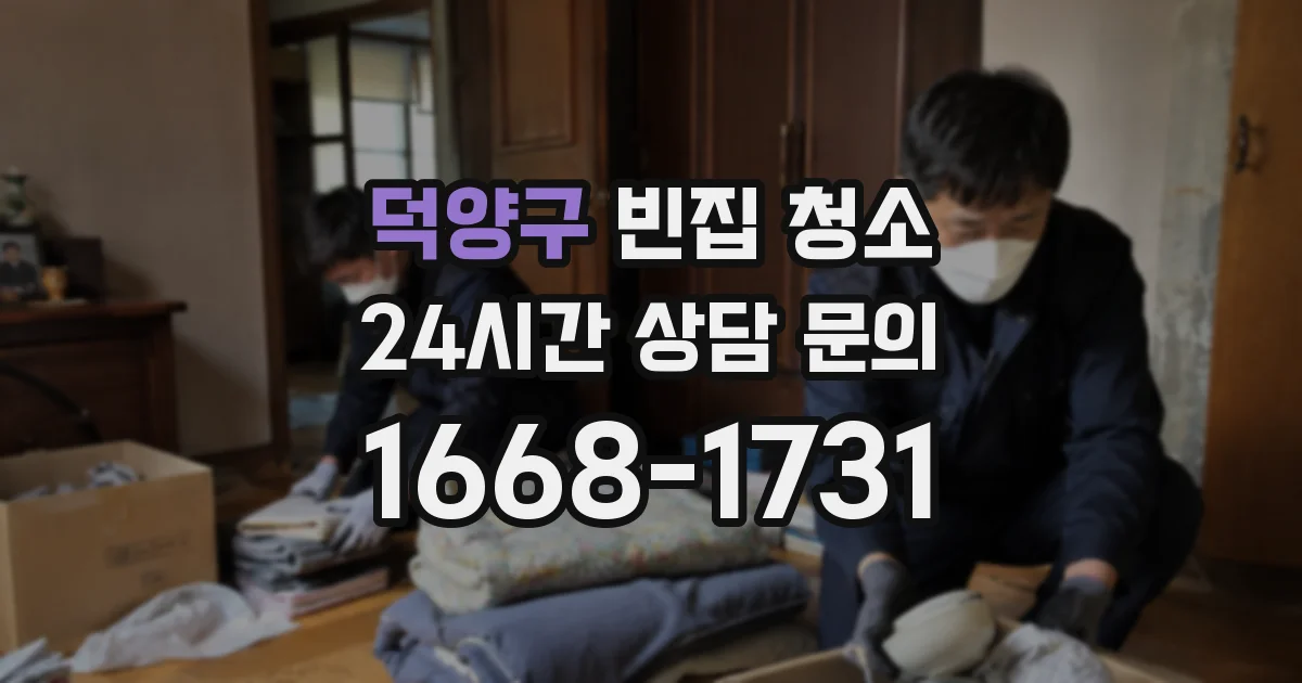 덕양구 빈집 청소