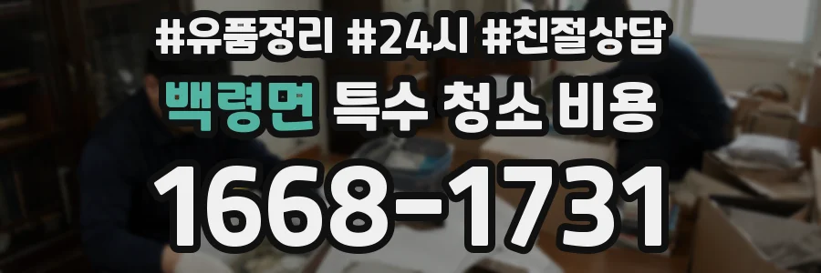 백령면 특수 청소 비용
