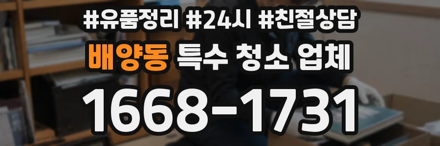 배양동 특수 청소 업체