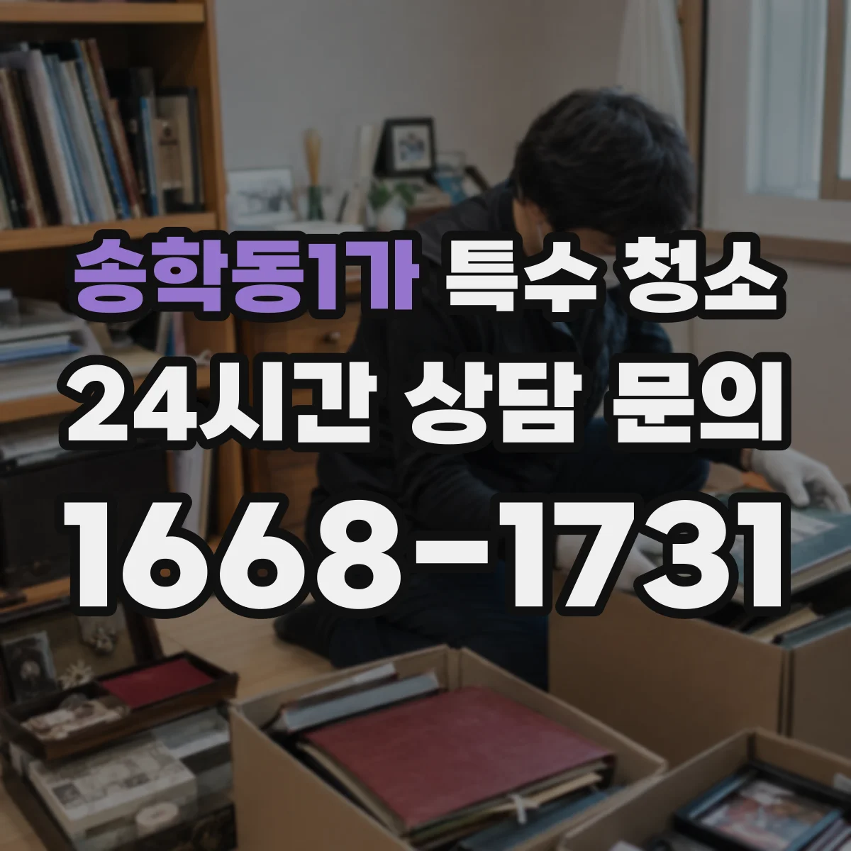 송학동1가 특수 청소