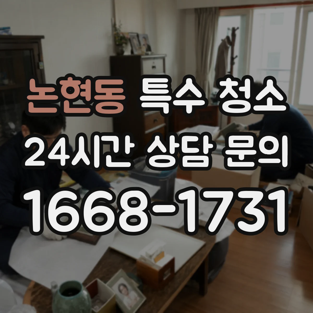 논현동 특수 청소