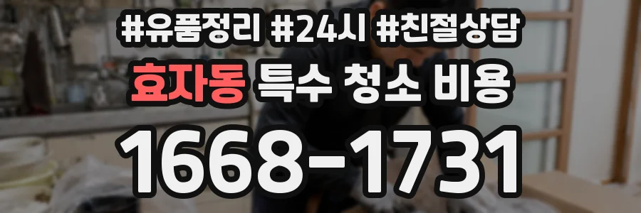효자동 특수 청소 비용