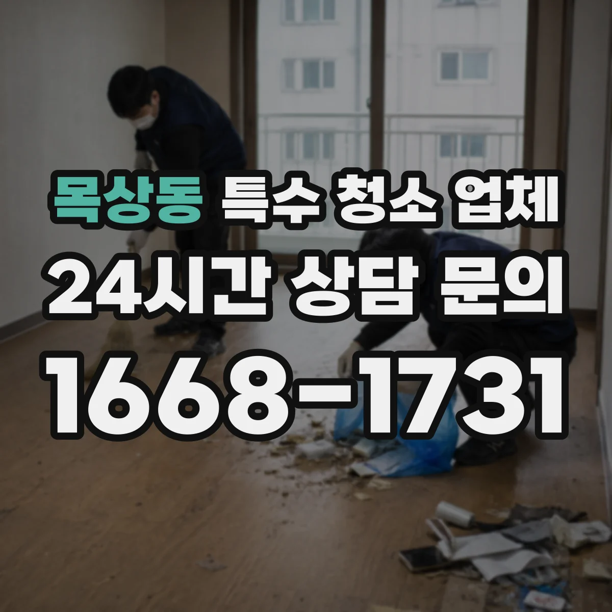 목상동 특수 청소 업체
