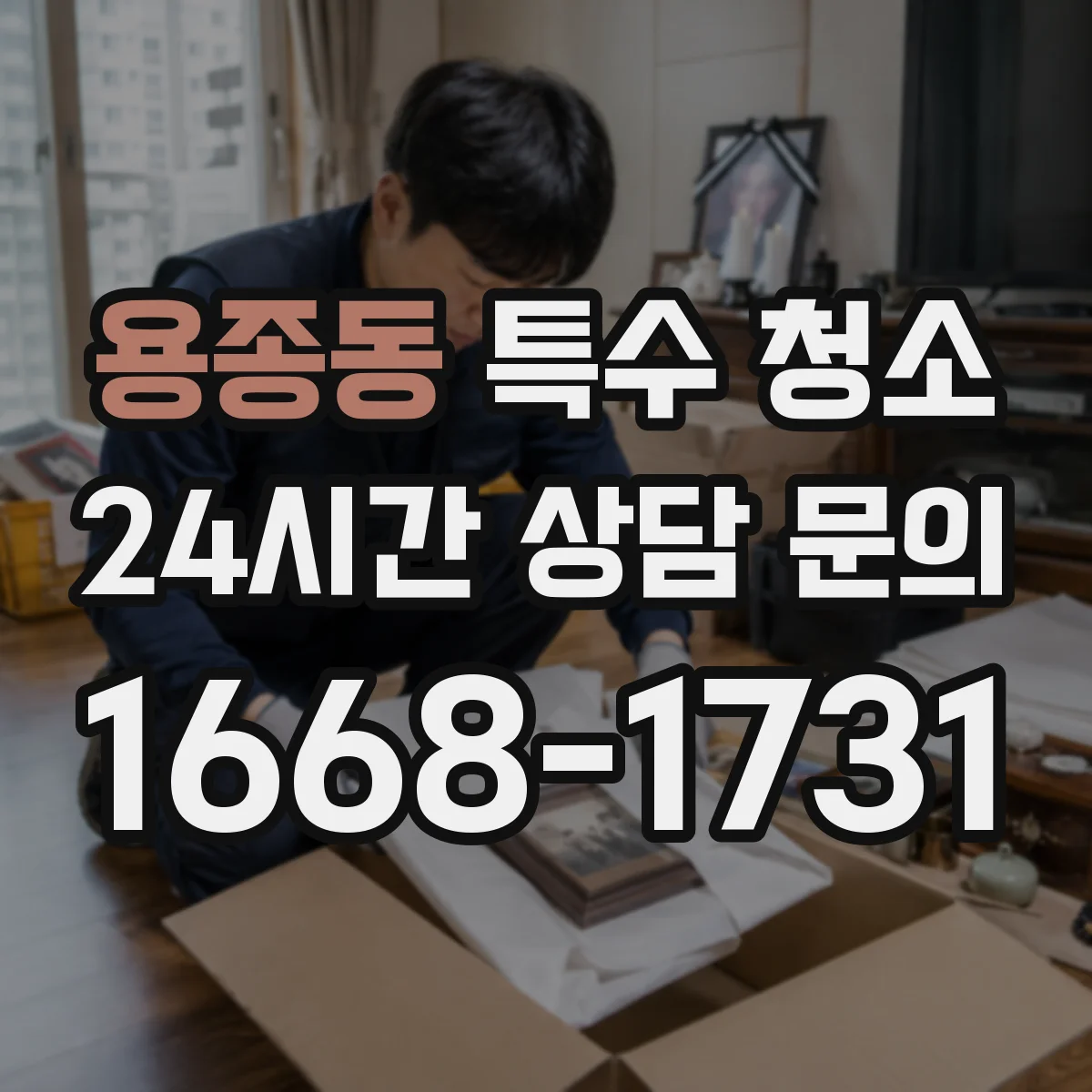 용종동 특수 청소